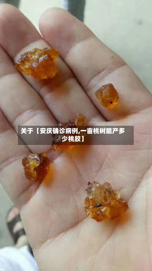 关于【安庆确诊病例,一亩桃树能产多少桃胶】