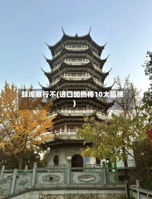 蚌埠限行不(进口加热棒10大品牌)