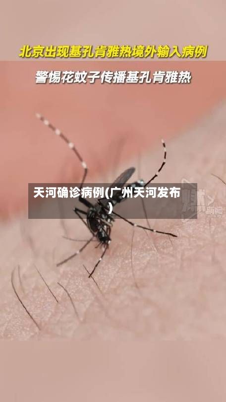 天河确诊病例(广州天河发布)