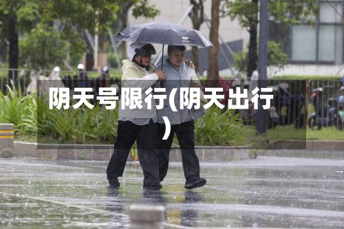 阴天号限行(阴天出行)