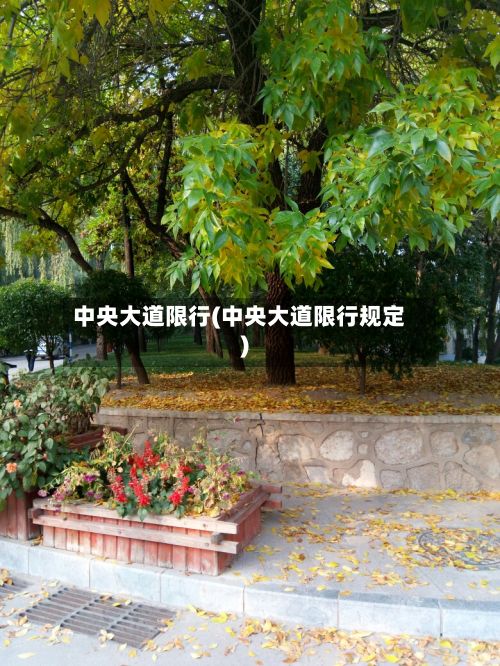 中央大道限行(中央大道限行规定)-第2张图片
