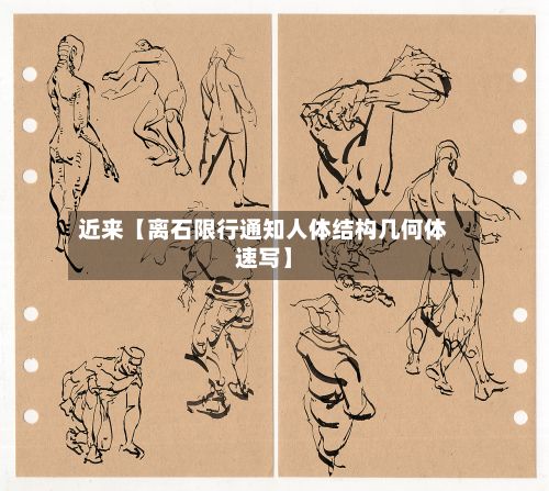 近来【离石限行通知人体结构几何体速写】