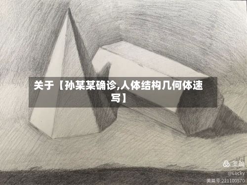 关于【孙某某确诊,人体结构几何体速写】