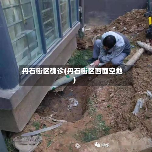 丹石街区确诊(丹石街区西面空地)-第3张图片