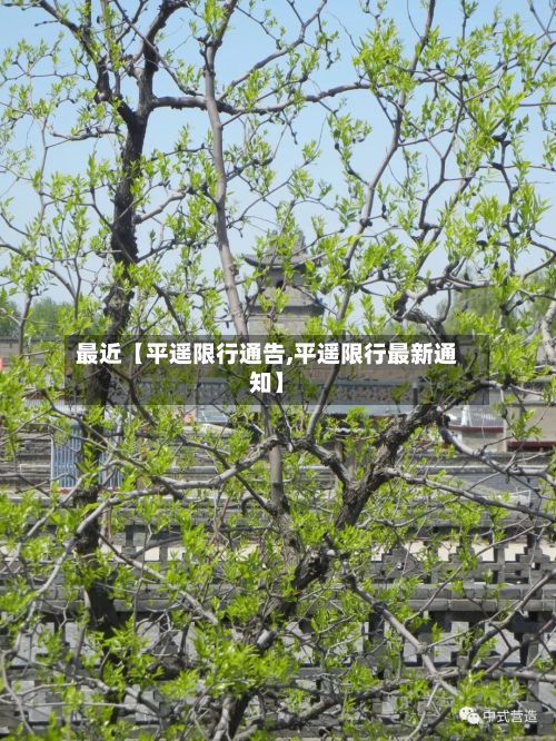 最近【平遥限行通告,平遥限行最新通知】-第2张图片