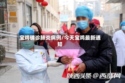 宝鸡确诊肺炎病例/今天宝鸡最新通知