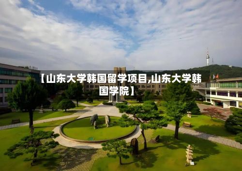 【山东大学韩国留学项目,山东大学韩国学院】