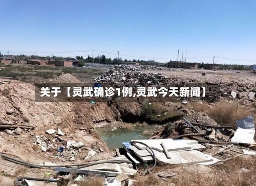 关于【灵武确诊1例,灵武今天新闻】-第2张图片