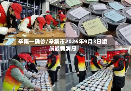 辛集一确诊/辛集市2026年9月3日凌晨最新消息