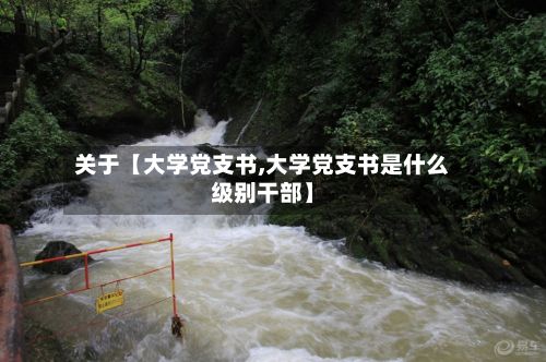 关于【大学党支书,大学党支书是什么级别干部】