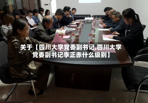 关于【四川大学党委副书记,四川大学党委副书记李正赤什么级别】-第3张图片