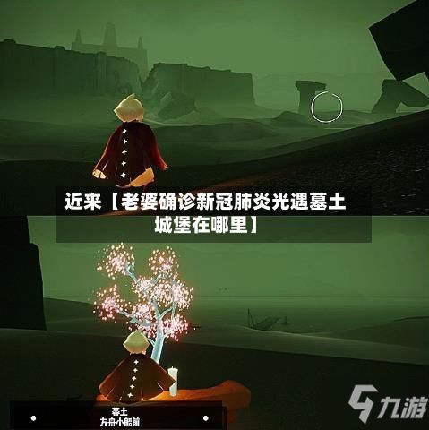 近来【老婆确诊新冠肺炎光遇墓土城堡在哪里】