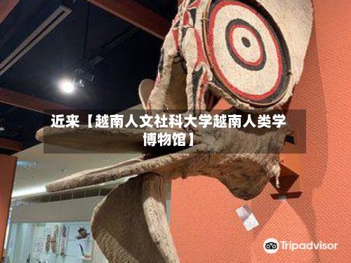 近来【越南人文社科大学越南人类学博物馆】