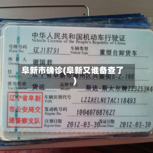 阜新市确诊(阜新又谁备查了)