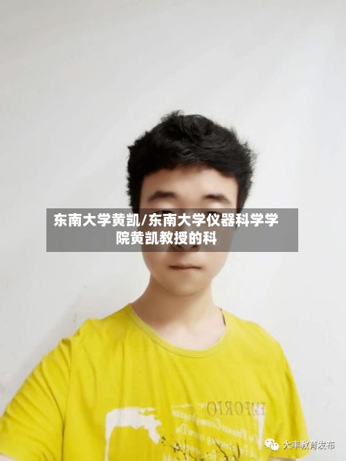 东南大学黄凯/东南大学仪器科学学院黄凯教授的科