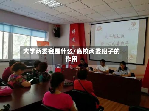 大学两委会是什么/高校两委班子的作用-第2张图片