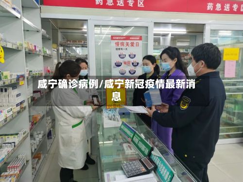 咸宁确诊病例/咸宁新冠疫情最新消息-第2张图片