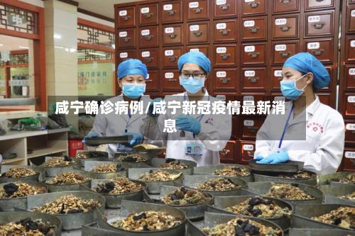 咸宁确诊病例/咸宁新冠疫情最新消息