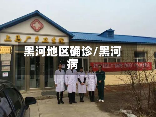 黑河地区确诊/黑河病-第2张图片