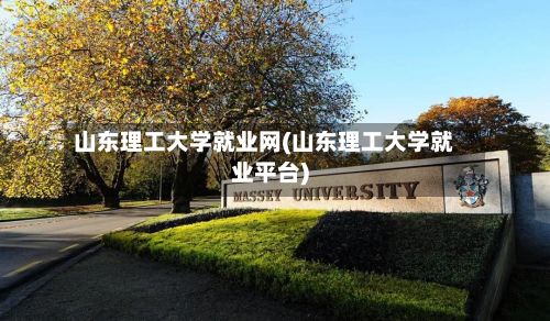 山东理工大学就业网(山东理工大学就业平台)-第2张图片