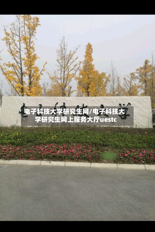 电子科技大学研究生网/电子科技大学研究生网上服务大厅uestc-第2张图片