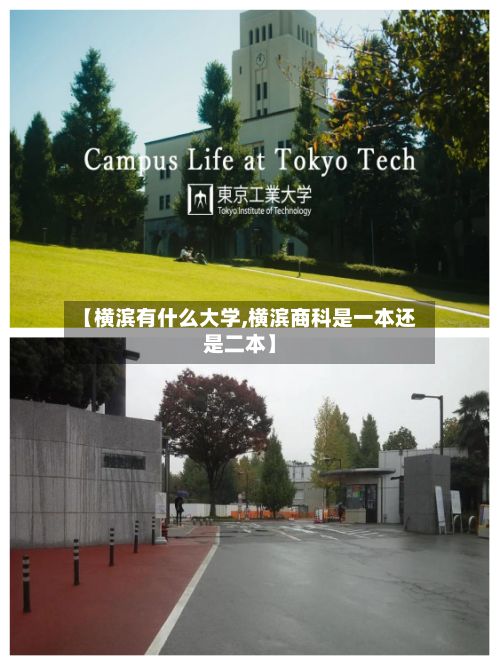 【横滨有什么大学,横滨商科是一本还是二本】-第2张图片