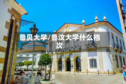 鲁贝大学/鲁汶大学什么档次-第3张图片
