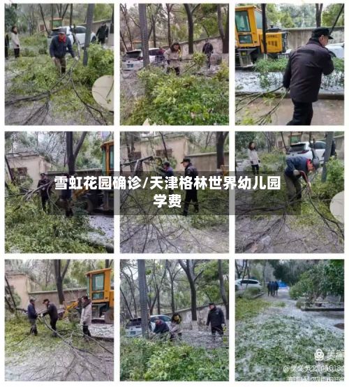 雪虹花园确诊/天津格林世界幼儿园学费-第3张图片