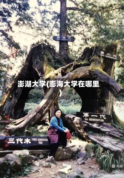 澎湖大学(澎海大学在哪里)-第3张图片