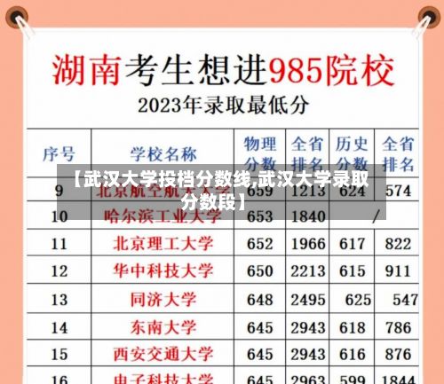【武汉大学投档分数线,武汉大学录取分数段】