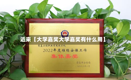 近来【大学嘉奖大学嘉奖有什么用】-第3张图片