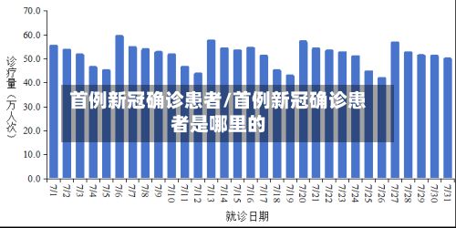 首例新冠确诊患者/首例新冠确诊患者是哪里的