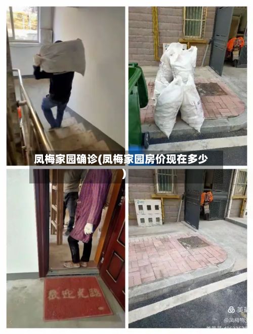 凤梅家园确诊(凤梅家园房价现在多少)