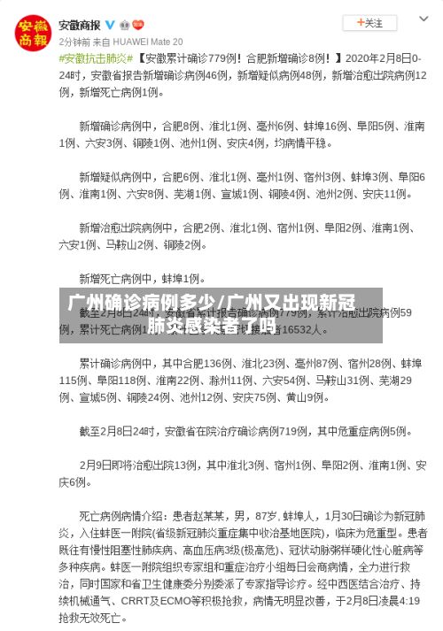 广州确诊病例多少/广州又出现新冠肺炎感染者了吗-第3张图片