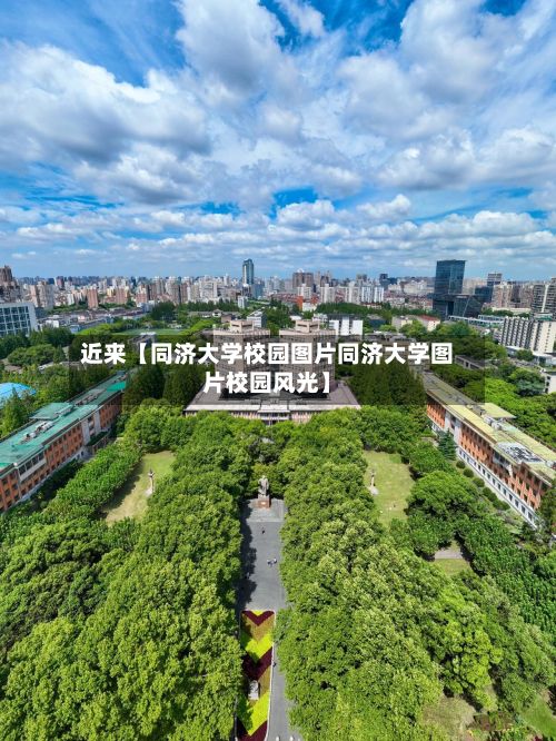 近来【同济大学校园图片同济大学图片校园风光】-第2张图片