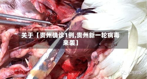 关于【贵州确诊1例,贵州新一轮病毒来袭】