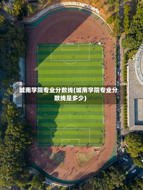 城南学院专业分数线(城南学院专业分数线是多少)