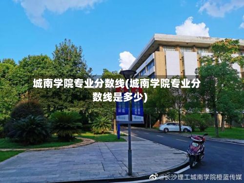 城南学院专业分数线(城南学院专业分数线是多少)-第2张图片