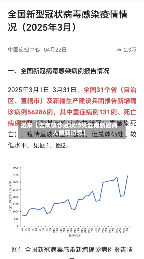 近来【云南确诊冠状肺炎云南新冠病人最新消息】-第2张图片