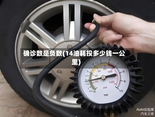 确诊数是负数(14油耗投多少钱一公里)