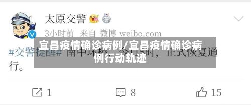 宜昌疫情确诊病例/宜昌疫情确诊病例行动轨迹