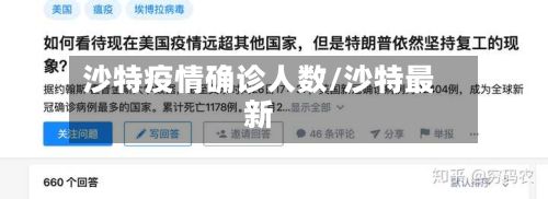 沙特疫情确诊人数/沙特最新-第2张图片