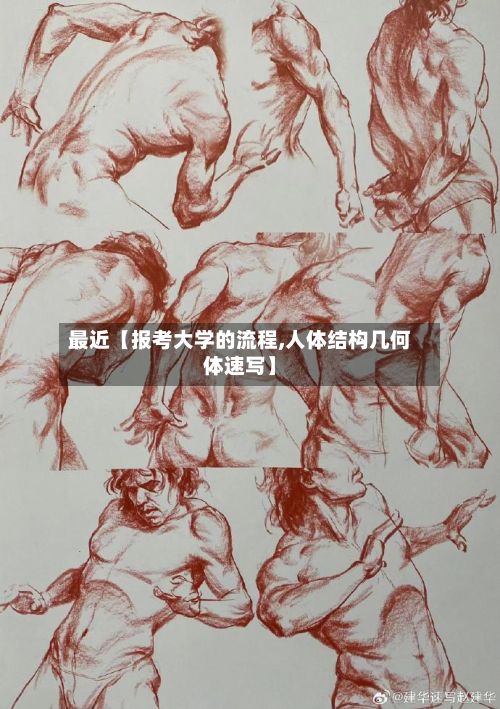 最近【报考大学的流程,人体结构几何体速写】