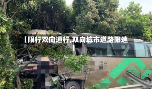 【限行双向通行,双向城市道路限速】-第3张图片
