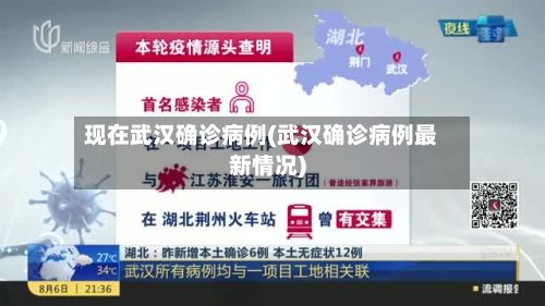 现在武汉确诊病例(武汉确诊病例最新情况)