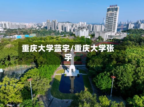 重庆大学蓝宇/重庆大学张宇