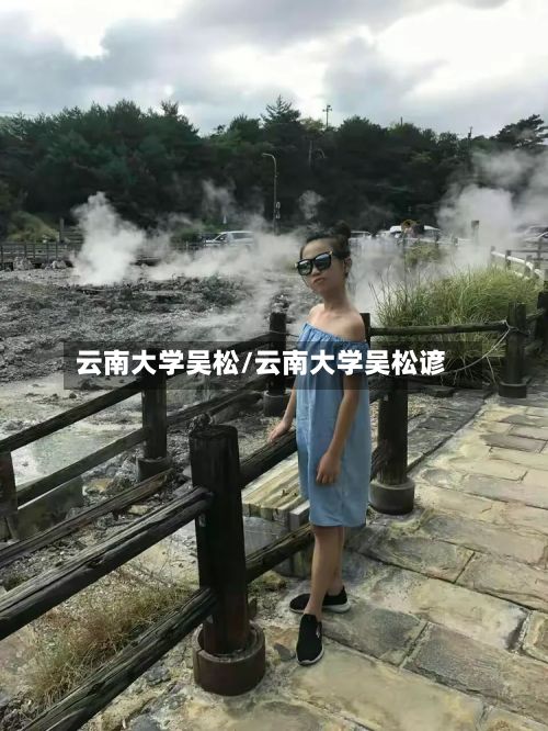 云南大学吴松/云南大学吴松谚-第1张图片