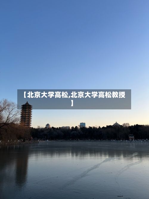 【北京大学高松,北京大学高松教授】-第2张图片