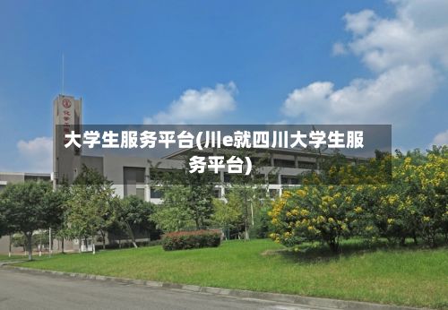 大学生服务平台(川e就四川大学生服务平台)-第2张图片