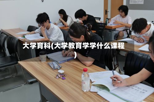 大学育科(大学教育学学什么课程)-第2张图片